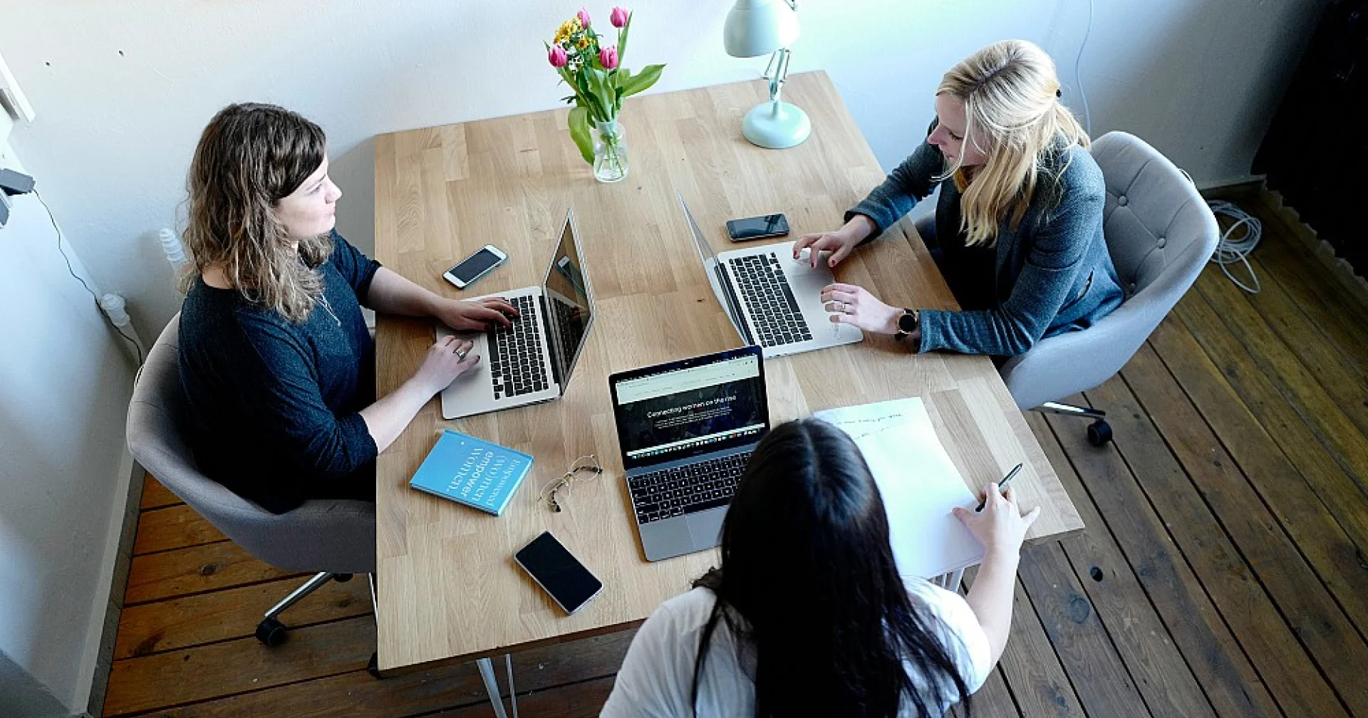 HPI zèbre et formation en développement web : transformer un potentiel ...