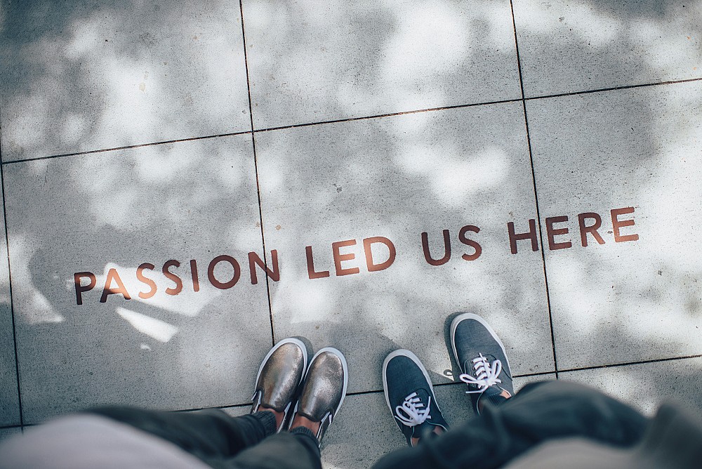 Comment my lms réinvente la formation en développement web pour les apprenants exigeants